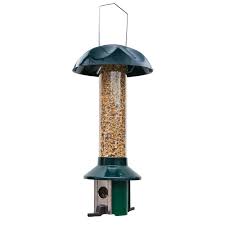 bird feeder